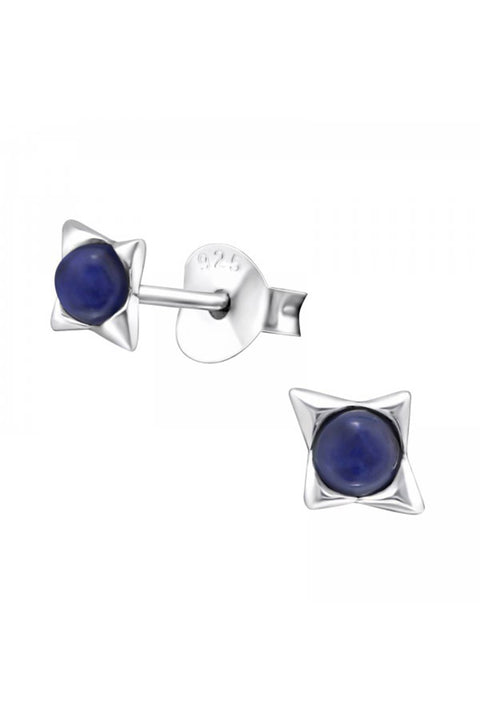 Sterling Silver Star Ear Studs With Semi Precious - SS