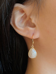 Lily Fossil Teardrop Earrings - GF