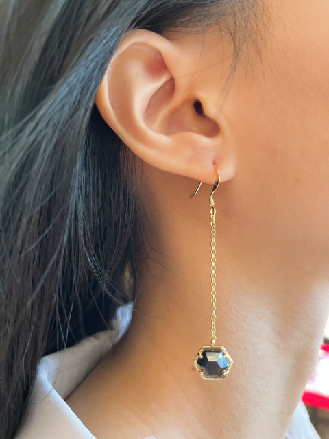 Hematite Pendulum Drop Earrings - GF