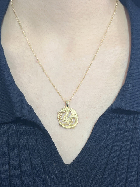 Dragon Pendant Necklace - GF
